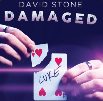 David Stone - Damaged